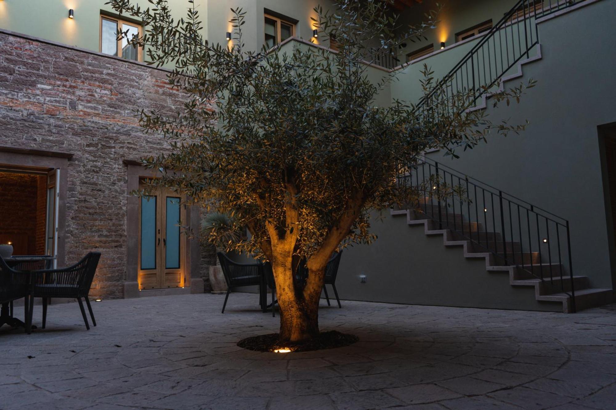 Hotel Casa Aranzazu San Luis Potosí Exterior photo